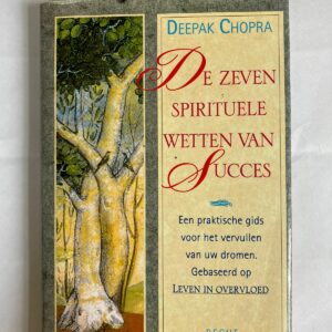 De zeven spirituele Wetten van succes