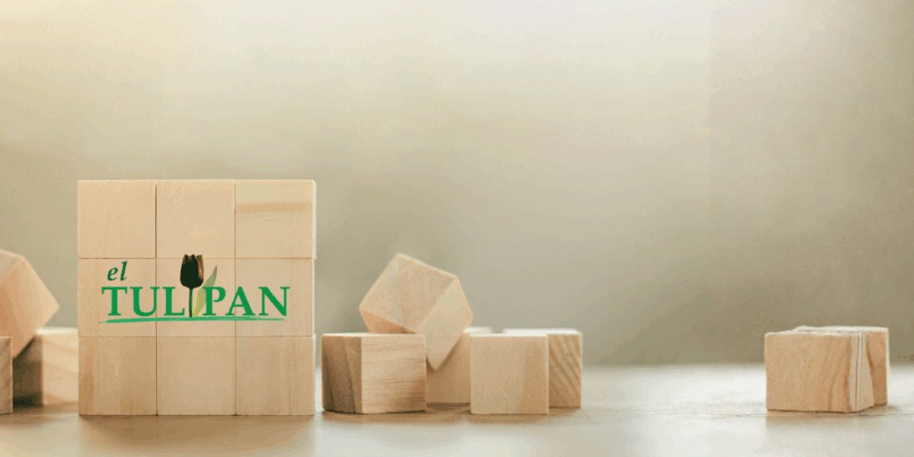 Sostenibilidad: medidas ambientales para reducir nuestra huella de carbono